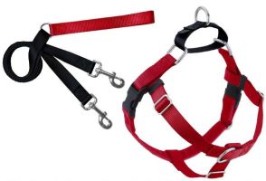 ce54d93e-a5ed-4942-831a-d42b85238313