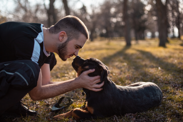 benefits of owning pet