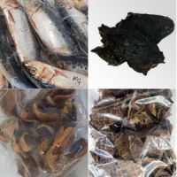 bb66eca2-d95a-425e-bb3b-4d3e2e19f969